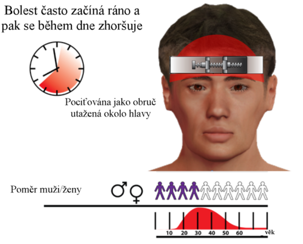 Myofasyciální techniky I – spoušťové body hlava, krk, horní část zad - Image 4